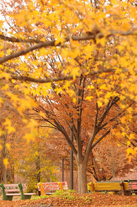 Fairfax campus in the Fall. Photo by Creative Services/George Mason University