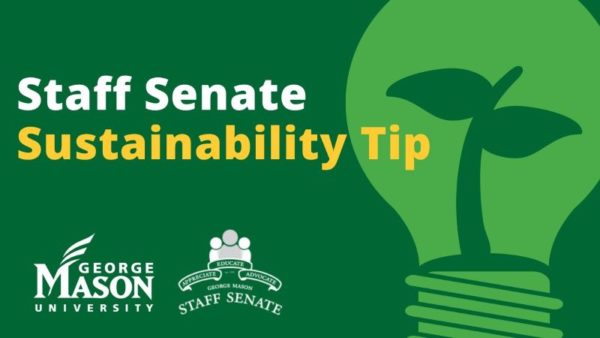 Sustainability Tip: December 2021 